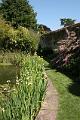 29. Primrose Garden